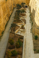 Wall Mural - View of beautiful perk between rocks on sunny day