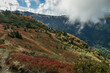 Couleurs d' automne avec les myrtilliers ,dans la chaîne de Belledonne ,  Isère ,Alpes France