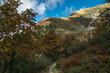 Couleurs d' automne dans la chaîne de Belledonne ,  Isère ,Alpes France