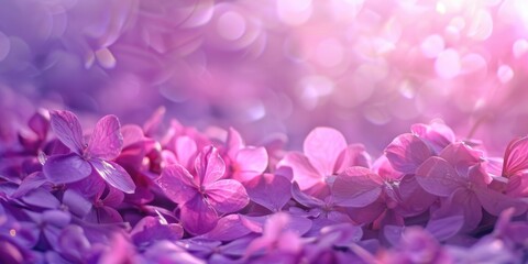 Poster - Close up of a bunch of purple flowers, perfect for floral backgrounds