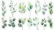 A beautiful set of watercolor green leaves and branches. Perfect for nature-themed designs