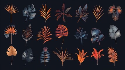 Poster - Various types of leaves on a dark backdrop, suitable for nature or environmental themes