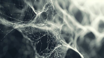 Poster - Detailed view of a spider web on a tree, perfect for nature-themed designs