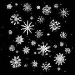 Canvas Print - Snowflakes on a black background, suitable for winter designs