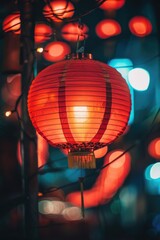 Poster - A red paper lantern hanging from a tree. Can be used for festive decorations