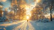   A person walks down a snow-covered road amidst a dense forest with sunlight filtering through the treetops