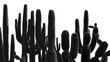 A group of cacti in a striking black and white composition, perfect for adding a touch of nature to your design projects