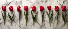   Red Tulips Line The White Marble Countertop, Resting Atop A Polished Marble Floor