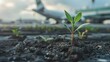 Green plant growing on the airport with a business private jet behind, emphasizing the environmental impact of aviation. AI generated illustration