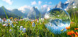 A serene alpine meadow with wildflowers blooming amidst the tall grasses and snow-capped peaks in the distance within a 3D glass globe.