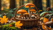 beautiful autumn mushrooms in a basket in the autumn forest   natural