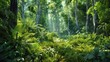 Panoramic view of a dense green forest, celebrating World Environment Day