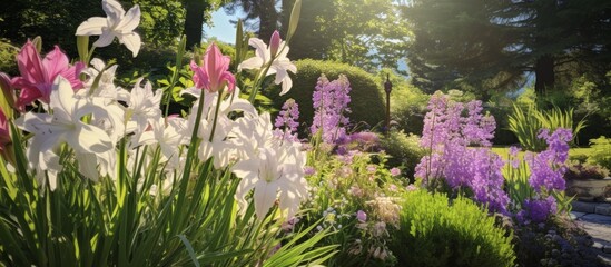 Wall Mural - Lush garden filled with an abundance of colorful flowers and various trees creating a beautiful and vibrant scenery