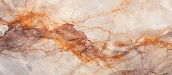Poster - Marble piece featuring a detailed pattern in shades of brown and white, showcasing a luxurious and elegant design