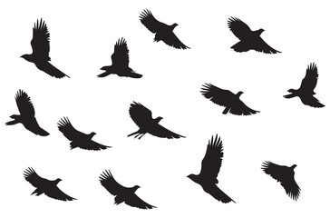 Wall Mural - Flying birds silhouettes Vector illustration white background