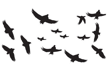 Wall Mural - silhouettes flying birds Vector illustration