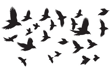 Wall Mural - silhouettes flying birds Vector illustration