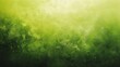 Abstract green lemon lime color gradient background with glow and grunge texture