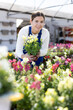 Young female saleswoman in uniform holding pot of snapdragons in flower shop