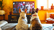 Back view of dogs watching TV in living room.