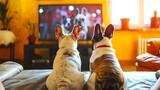 Fototapeta  - Back view of dogs watching TV in living room.