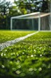 lawn and football field markings Generative AI