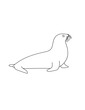 Seal Coloring Page for Print. Underwater animals and Ocean Life Creatures.