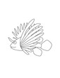 Fantastic Fish Coloring Page for Print. Underwater animals and Ocean Life Creatures.