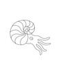 Nautilus Coloring Page for Print. Underwater animals and Ocean Life Creatures.