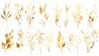 Minimalist style of hand drawn plants. Vector plants and grasses in gold style with gloss effects and and gold paint splatters. With leaves and organic shapes.
