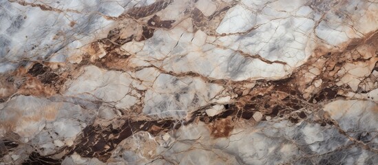 Poster - A detailed view showcasing a marble slab with an intricate design in shades of brown and white