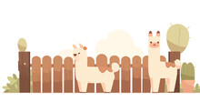 Funny Alpaca With Wooden Fence Illustration 2d Flat