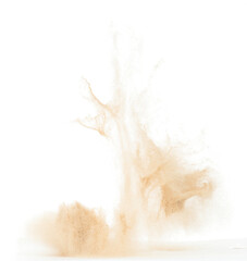 Wall Mural - Small Fine size Sand flying explosion, Golden grain wave explode. Abstract cloud fly. Yellow colored sand splash throwing in Air. White background Isolated high speed shutter throwing freeze stop