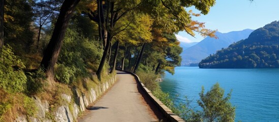 Wall Mural - Tranquil path meandering beside a calm lake surrounded by lush greenery and trees on both sides