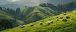 A flock of sheep grazing on a lush green hillside with a shepherd in the distance