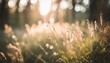 wild grass in a forest at sunset macro image shallow depth of field vintage filter abstract summer nature background