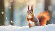 banner with cute red squirrel sciurus vulgaris sitting in a snow and looking for food on winter forest blurred background banner with beautiful animal in the nature habitat wildlife scene