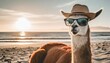 llama with glasses and hat sunbathing on the beach concept of enjoying vacation