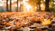 colorful background made of fallen autumn leaves
