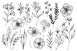 Delicate floral vector illustration featuring intricate, hand-drawn flowers and leaves, perfect for creating elegant designs and patterns, digital art