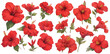 © Dian - Watercolor red hibiscus clipart for graphic resources