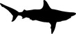 A silhouette of a black Tip Shark