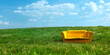 © Azeez - arm chair on the grass field yellow leather sofa in a field of flowers Cinematic daylight landscape green feild background