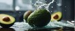 avocado, sinking in water tank freshness healthy eating, close-up healthy lifestyle, studio shot