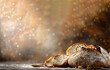 Bread on table with light background, gourmet season copy space celebration refreshment