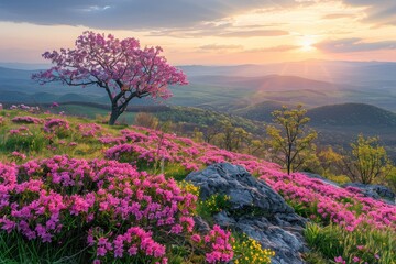 Wall Mural - A beautiful mountain landscape with a pink tree in the foreground