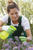 Fototapeta Na drzwi - young woman spraying pesticide on her flowers