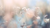 Fototapeta Natura - light soft floral abstract background