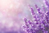 Fototapeta Lawenda - Close Up of Lavender Flowers