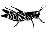 Fototapeta  - grasshopper silhouette vector illustration